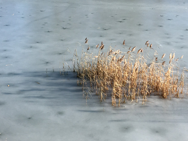 540 :: Icy Bistrita